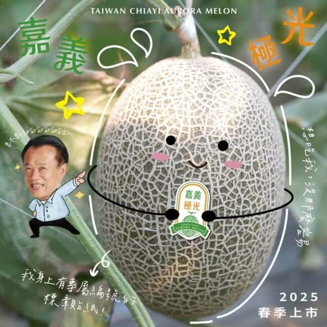 好市多上架「超夯水果」　爽脆甜密的嘉義極光引熱議 | 華視市場快訊