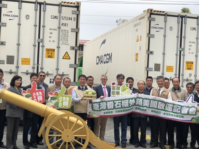 台南芒果、芭樂成功叩關歐盟 南市府與中央通力合作拓展農產外銷 | 華視市場快訊