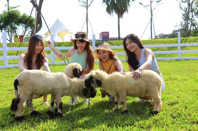 麗寶樂園年末活動滿滿  親子農場、Hahababy路跑演場會陸續開跑 | 華視市場快訊