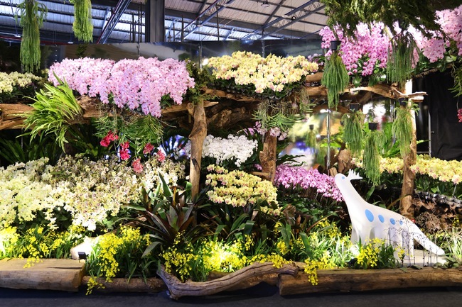 國際蘭展綻放館4亮點必逛！主題館「綻放館」揭臺灣災後生命進化旅程 | 華視市場快訊