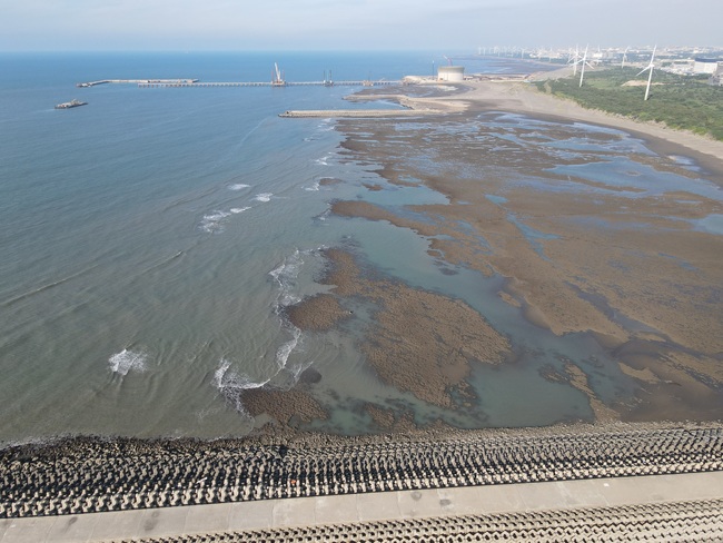 桃園27公里海岸，就差國際最新的保育趨勢「類保護區」 | 華視市場快訊